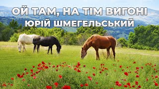 Ой там, на тім вигоні \