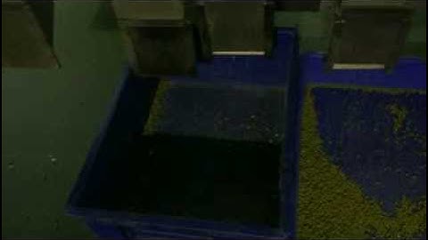 AMD mung bean sorting machine/color sorter