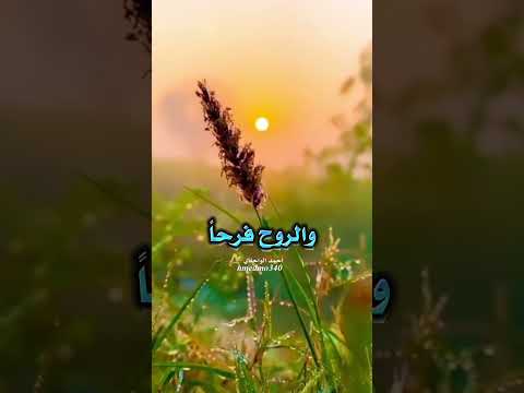 اللهم إنا نسألك صباحا يملأ الأجساد عافية Shorts صباح الخير