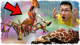 :      (Zoochosis) #3