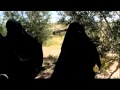 شهادات عدد من النسوة عن