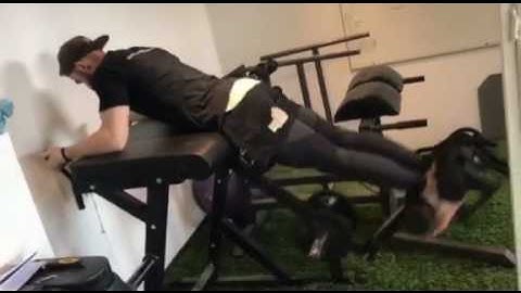 The best lower back exercise - Reverse hyperextensions