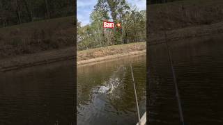 Insane up close Bass strike right at the boat! #outdoors #fishing #lake ￼