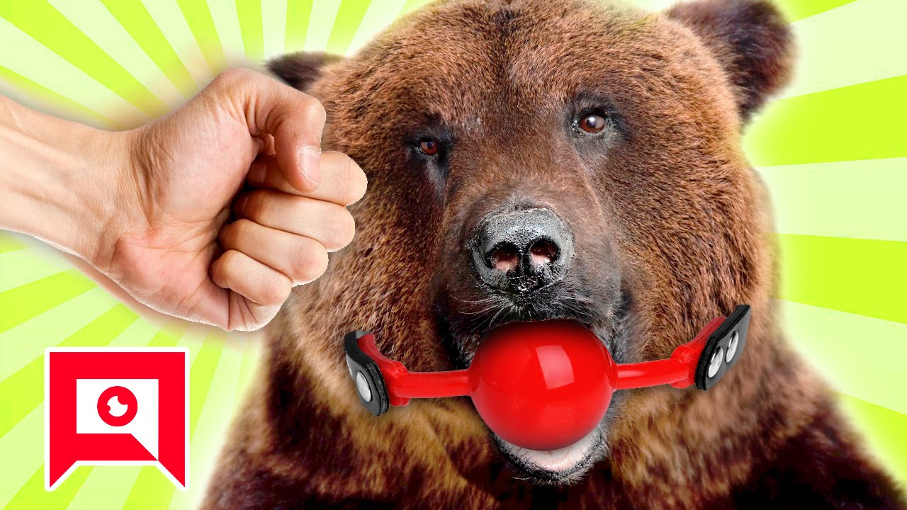 video phone beyonce mp3 Fisting NAUGHTY Animals - FIST OF AWESOME