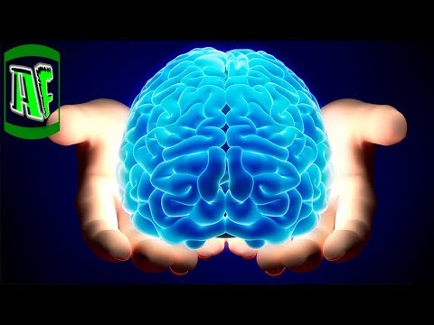 ადამიანის მეხსიერება