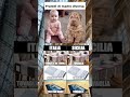 cane #amica #memes #humor #memeita #perte #funny #tiktok #greenscreen #memeitalia