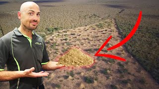 200 MILLION Termite Mounds!