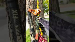 Catalyst hitch en acción #treework #climbing #rigging