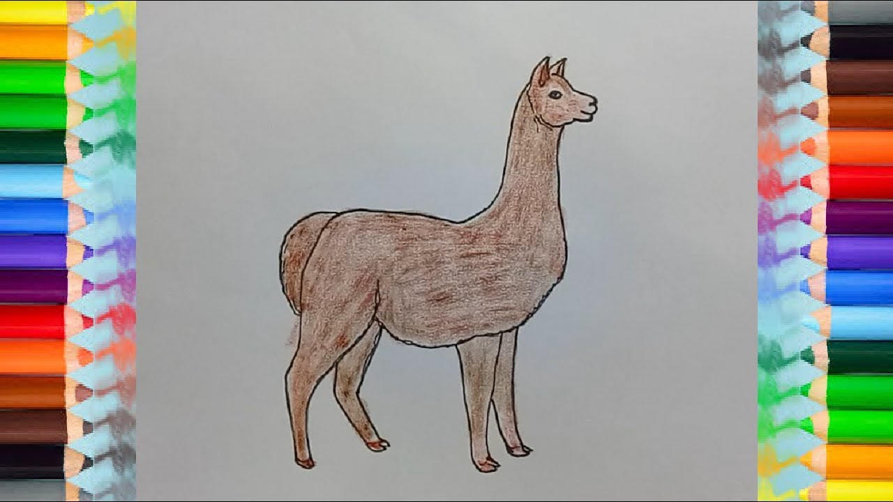 Desenhos fáceis para você fazer #55 (Alpaca) ❤️ #alpaca #draw