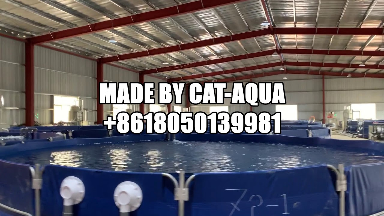 Recirculating aquaculture system -RAS modern farm that use the Canvas fish pond