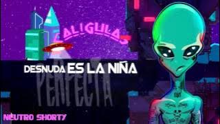 Neutro Shorty - Mi Muñeca ft. Micro TDH & El Ceh Bestial [Lyric Video]