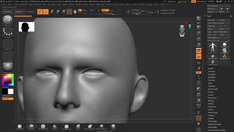 Zbrush Navigation