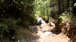 chalma 2011
