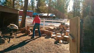 Timelapse hand splitting fire wood