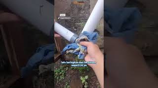 Download Lagu JIka Pipa Bocor, Maka Berikut Ini Cara Mudah Mengatasinya! #tukang #tukangledeng #pipa #airbersih MP3