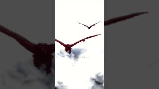 Flight of the Rodan #shorts #subscribe #apex