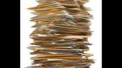 Boca Raton Professional Translation Services 