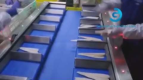 Automatic preloading conveyor belt weighing selecting sorting machine weight checking conveyor