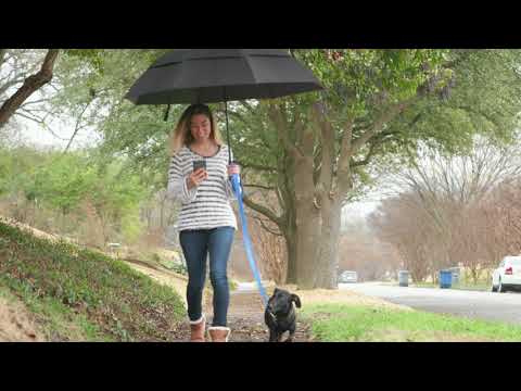 best-video-doorbell---introducing-adt-video-doorbell