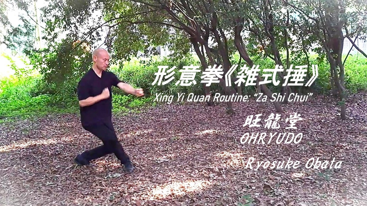 形意雑式捶　姜容樵 伝統武術【形意拳】套路 《雑式捶》Traditional Martial Arts – Xing
