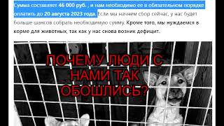 Помогите собрать 40 000 руб.до 20 августа за аренды Петропаловск-Камчатскому приюту для животных