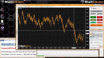 BlackBird Workshop - Setting Up BlackBird to Trade Like Raven