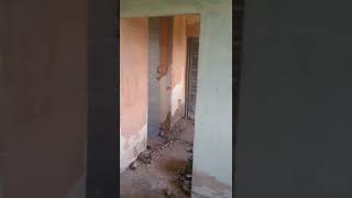 Granada Olive Farm Ruin....big Work Ahead