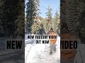 I love snowshoeing