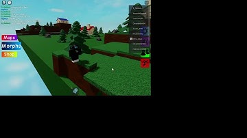 How to get round floppa