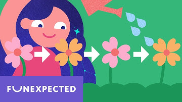 ⚽️🏀⚽️🏀 What is a pattern? 🎶 | Seeing Patterns | Patterns and Sequences | Fun Math For Kids