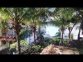 Amazing bird sounds in garden from Mauritius