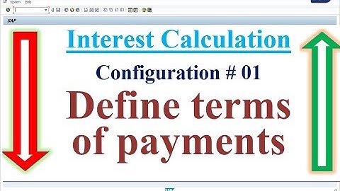 Interest Calculation Config 01 Define terms of payments