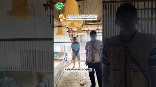 Bansos sering dibilang salah sasaran, ini alur dan siapa yang menentukan !!!