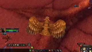 World of Warcraft runnig on Ati Radeon HD 4350