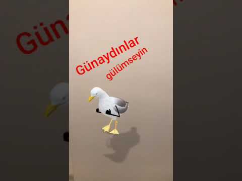 Günaydın millet