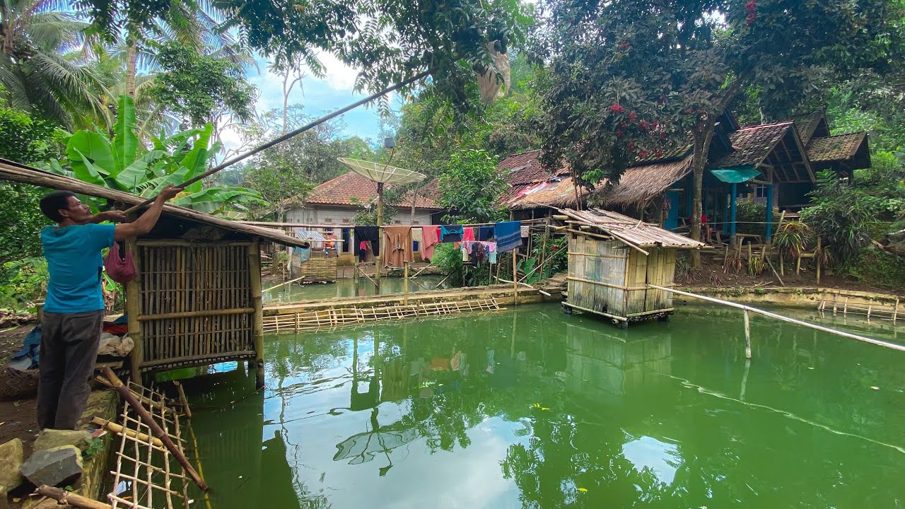 suasana kampung yang damai