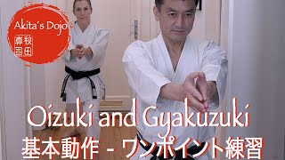 Karate - One point Training #1: Oizuki and Gyakuzuki 空手の基本動作、追い突き、逆突き【Akita&#39;s Karate Video】