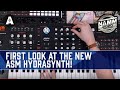 First Look At The New ASM Hydrasynth Synthesizer! - NAMM 2020