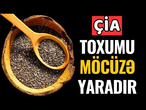 Video: Cənubi Amerikada Vegetarian Dostu Şəhərlər