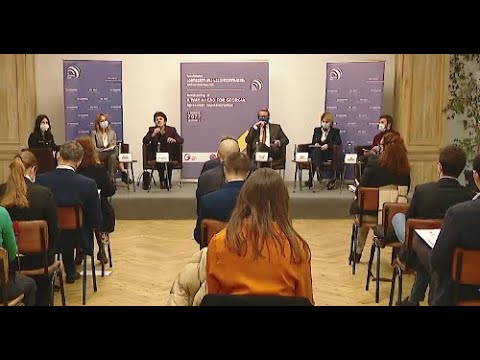 მართლმსაჯულების რეფორმა ჩავარდა, ხოლო საარჩევნო რეფორმა არასაკმარისია - საერთაშორისო პარტნიორები