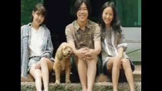 'Hyori's Bed & Breakfast' achieves new all time high ratings