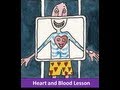 Understanding the Human Heart