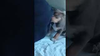 Dont Worry She Loves It. Its Her Fav Game.