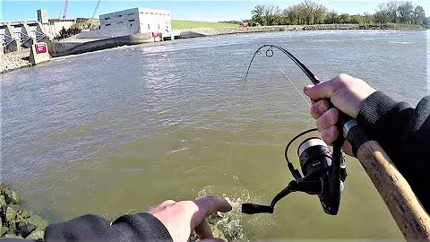 SPILLWAY FISHING for whatever I can catch! (Fall Fishing)