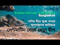 Stunning 4K Underwater footage + Music | Nature Relaxation Rare & Colorful Sea Life | সেন্টমার্টিন |