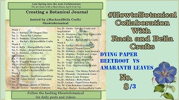 #howtobotanical Collab No. 8 /video 3 - DYING PAPER BEETROOT VS AMARANTH LEAVES