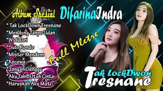 FULL ALBUM DIFARINA INDRA TERBARU TAK LOCKDOWN TRESNANE FULL MLETRE (TANPA IKLAN)