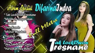 FULL ALBUM DIFARINA INDRA TERBARU TAK LOCKDOWN TRESNANE FULL MLETRE (TANPA IKLAN)