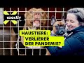 Hund, Katze, Kaninchen – Tierheime nach Corona am Limit | Doku exactly