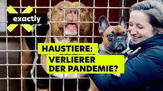 Hund, Katze, Kaninchen – Tierheime nach Corona am Limit | Doku | exactly
